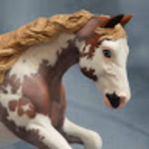 Meet your Posher, Audrey